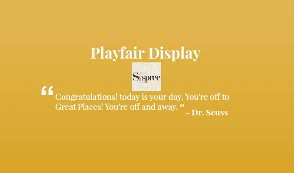 Playfair Display by Web Designing Company in Mumbai