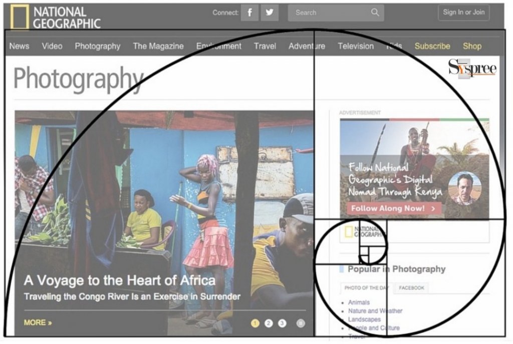 The Golden Ratio by Web Designing Company in Mumbai
