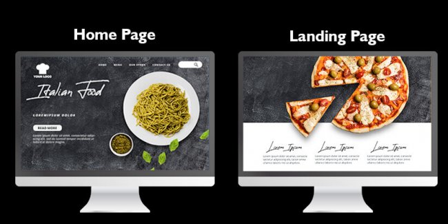 Web Design company in Mumbai _ Landing Page vs Home Page_ Two sides of the same coin _ SySpree