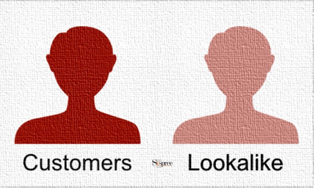 Customers vs Lookalike by Web Design Company in Mumbai