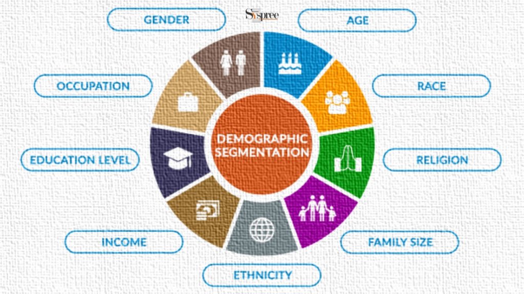 Demographics by Social Media Marketing Company in Mumbai