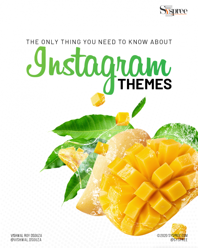 Everything About Instagram Themes by the best digital marketing Agency in India