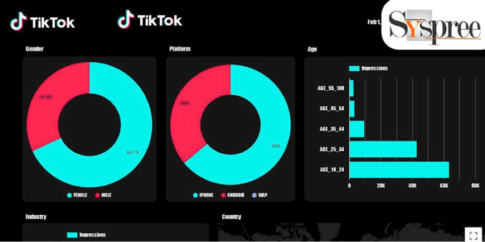 Tiktok Attribution Analytics – Impact on Key Performance Metrics
